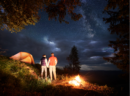 Dark matter The invisible glue of the universe